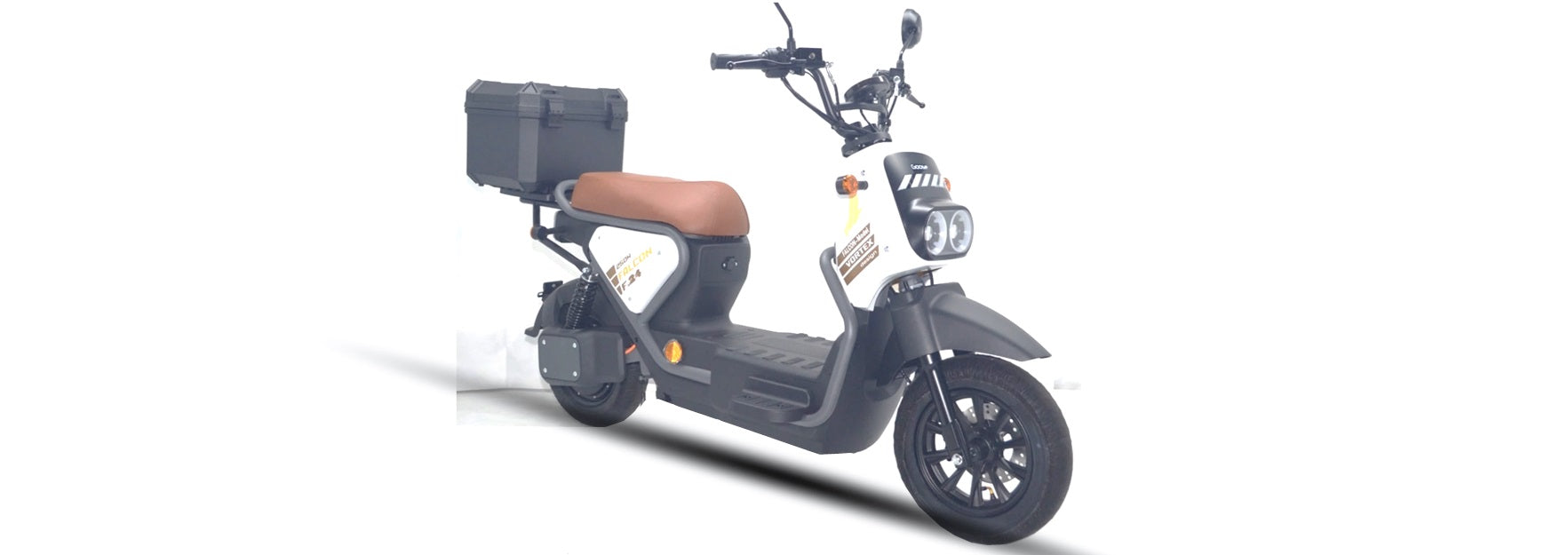 Goose Falcon gallery