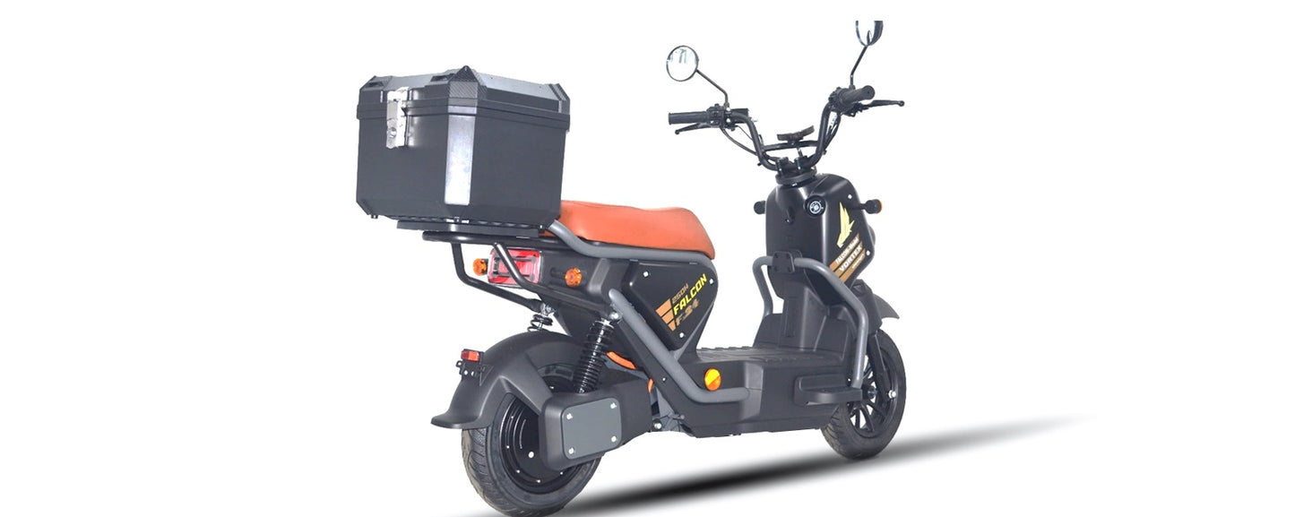 Goose Falcon gallery