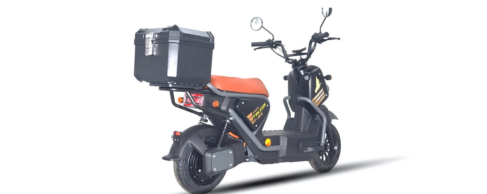 Goose Falcon gallery