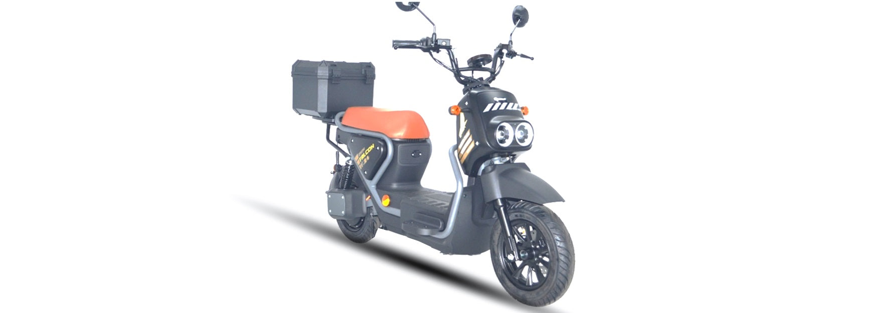 Goose Falcon gallery