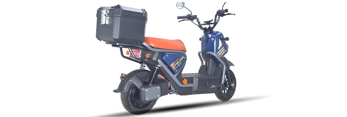 Goose Falcon gallery