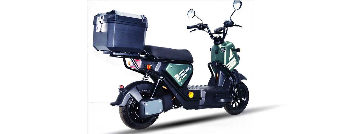 Goose Falcon gallery