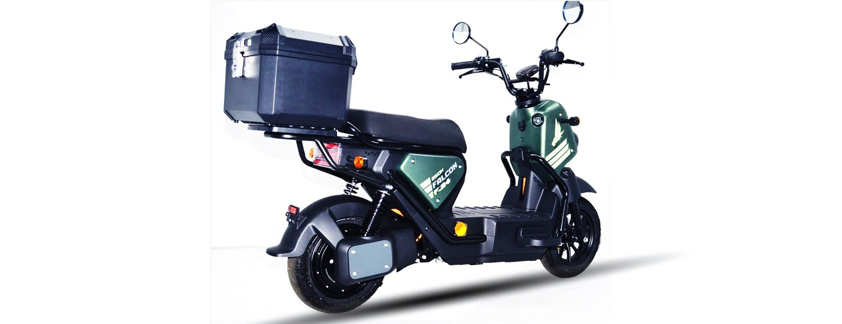 Goose Falcon gallery