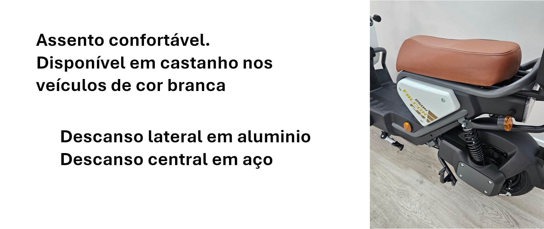 Goose Falcon gallery