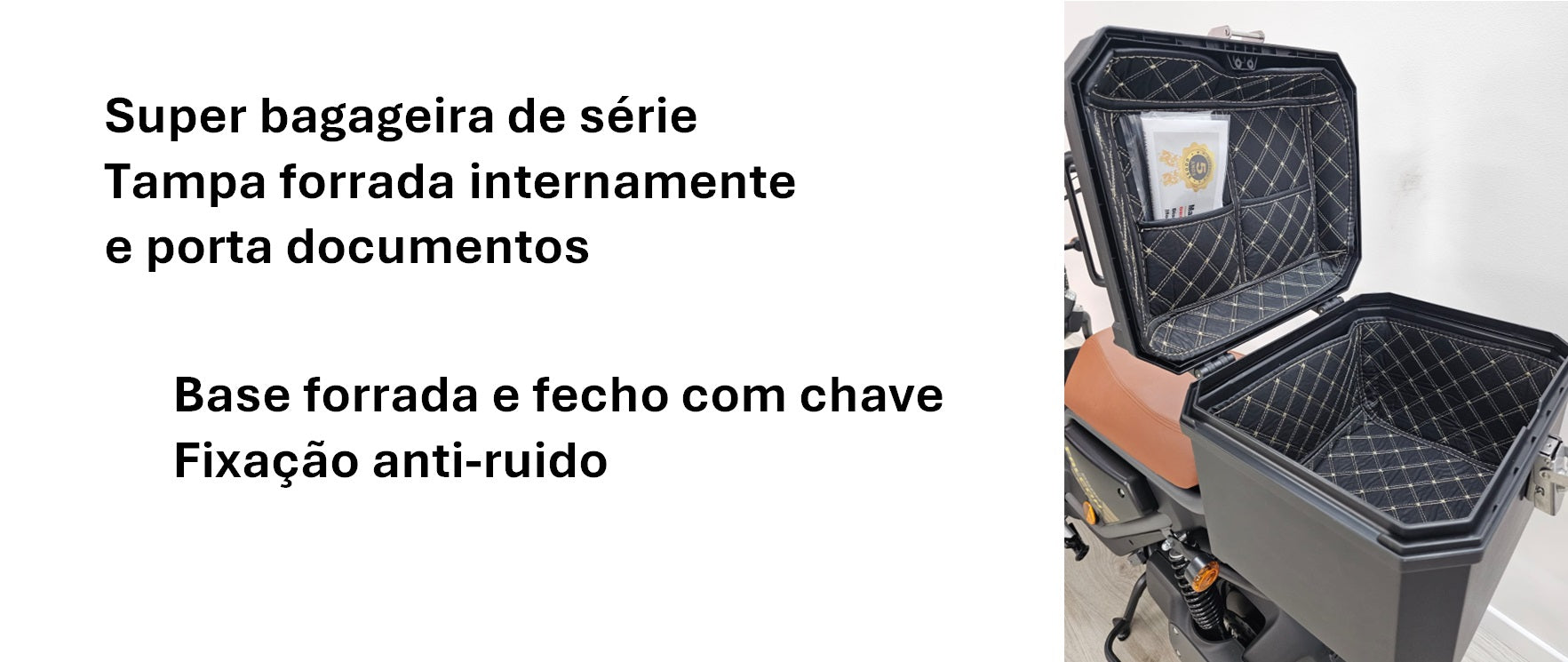 Goose Falcon gallery