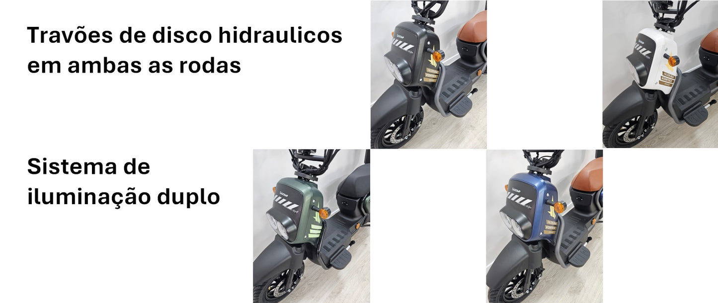 Goose Falcon gallery