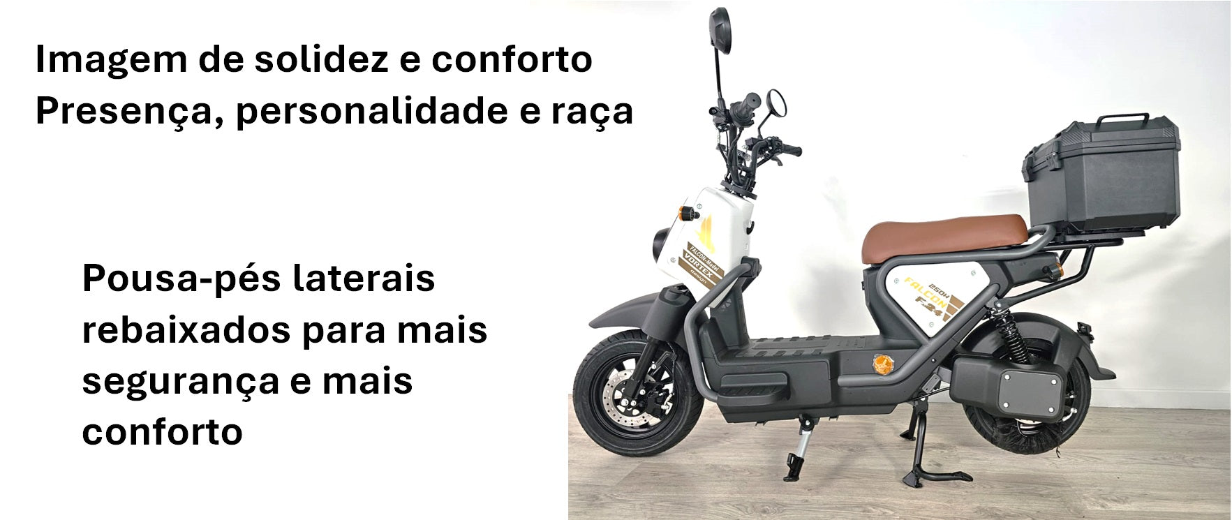 Goose Falcon gallery