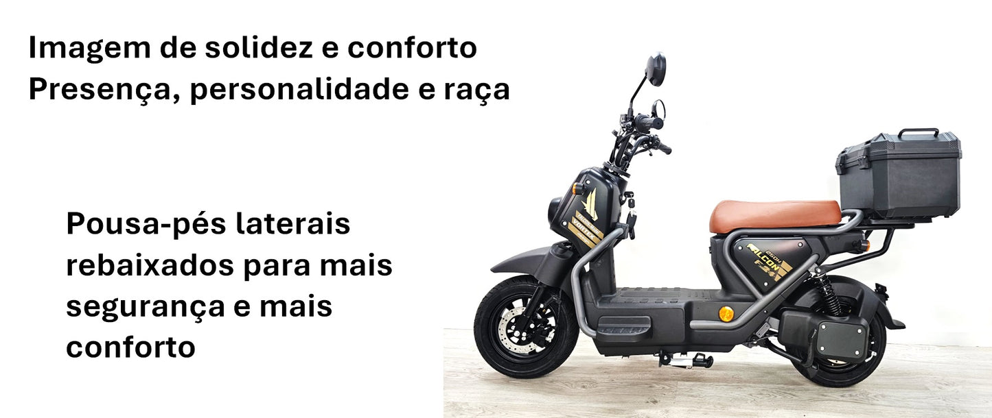 Goose Falcon gallery