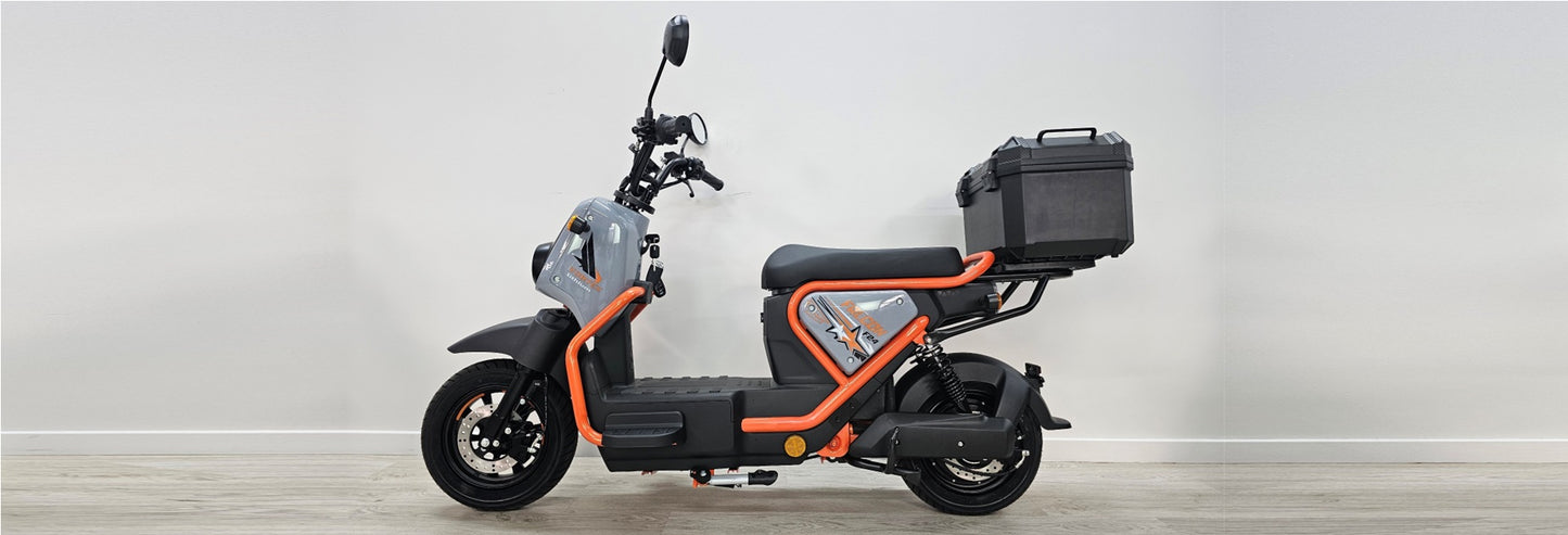 Goose Falcon gallery