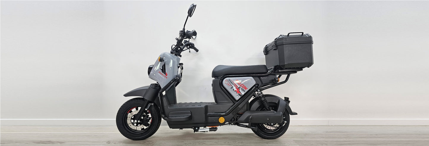 Goose Falcon gallery