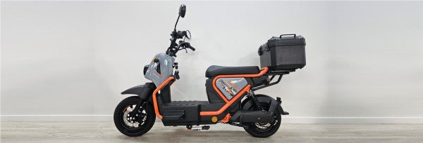 Goose Falcon gallery